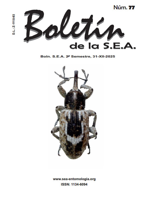 Boletín 77